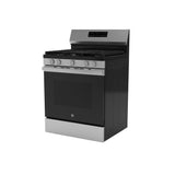 GE STAINLESS 30" FREE STANDING GAS RANGE - Pearl Silver|Black - Ranges - Additional View 25