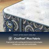 Cascade Range Medium Mattress