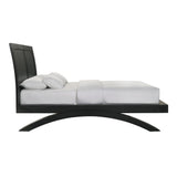 Elements International - Allan Queen Bed - Black - Wood - Beds - Additional View 2
