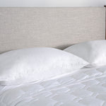 Bedgear - QUEEN iPROTECT PILLOW PROTECTOR - White Fabric - Protectors - Additional View 2