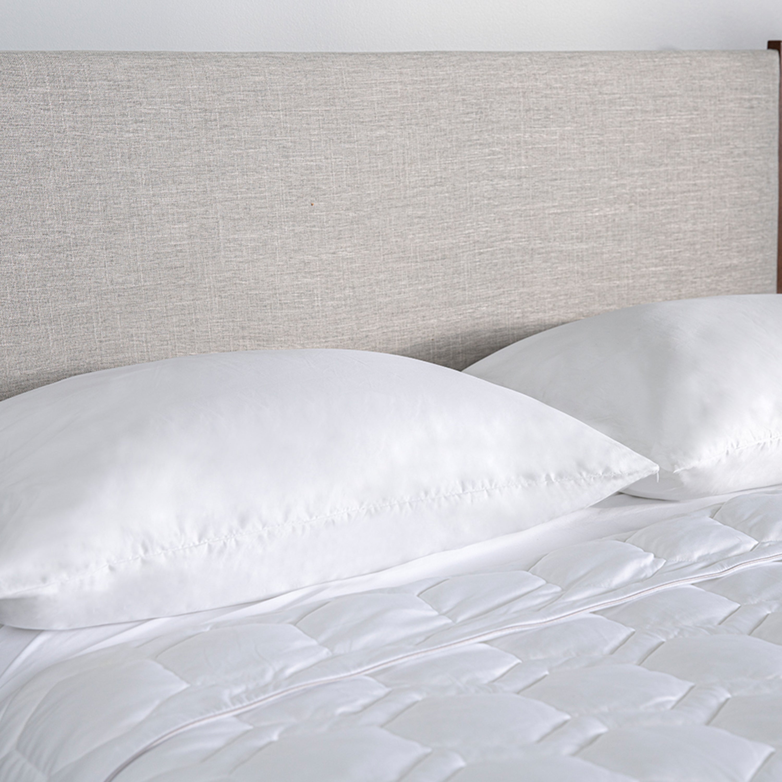 Bedgear - QUEEN iPROTECT PILLOW PROTECTOR - White Fabric - Protectors - Additional View 2