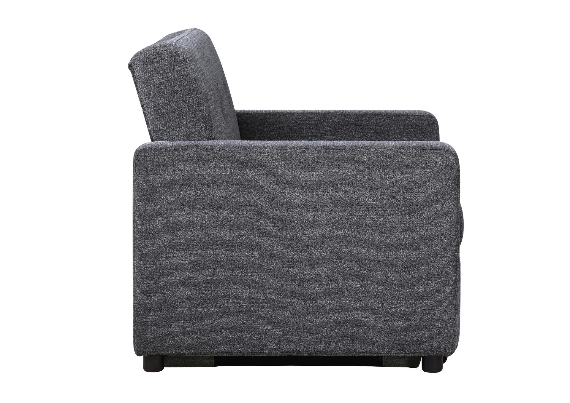 Noah Chair With Twin Sleeper - Gray - Additional View 2