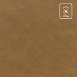 Steve Silver Furniture - RYLIE DINING ARM CHAIR WITH CASTERS - Light Brown Wood|Faux Leather - Chairs - Additional View 1