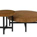 STEENLAGE 2 PIECE OCCASIONAL TABLE SET